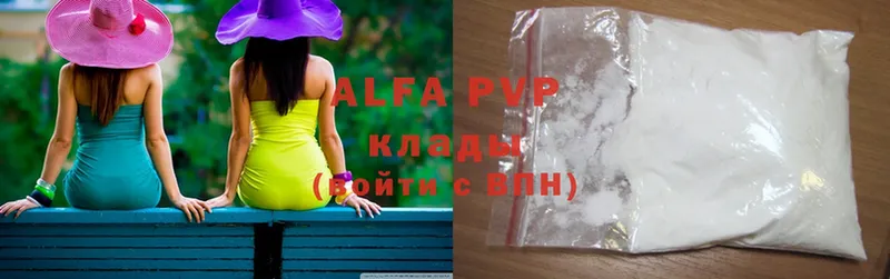 A PVP СК КРИС  как найти   Луга 