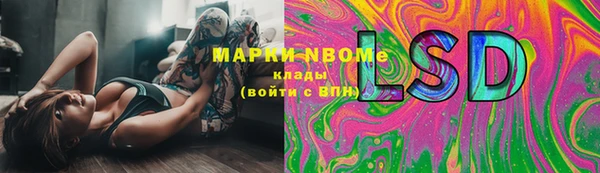 бошки Богданович