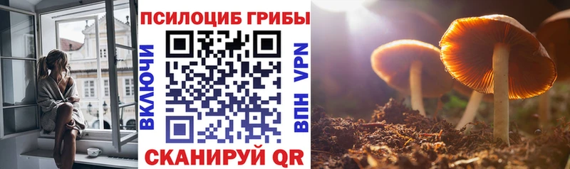 цены наркотик  Луга  Галлюциногенные грибы мухоморы 