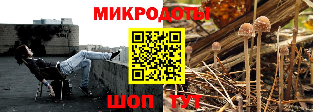 Галлюциногенные грибы MAGIC MUSHROOMS  Луга 