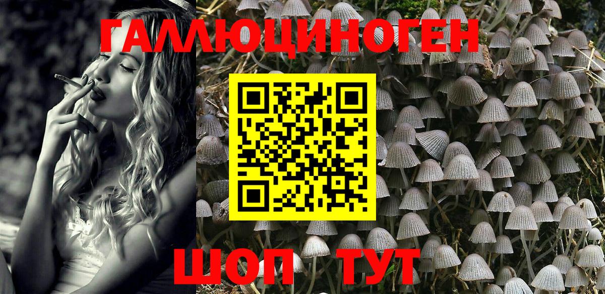 Луга  Псилоцибиновые грибы MAGIC MUSHROOMS  Вход с VPN 