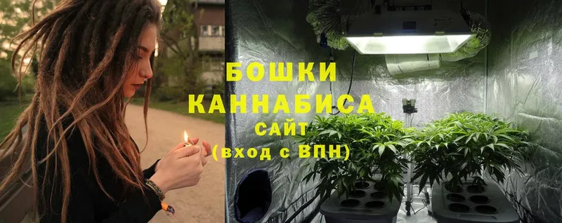 Шишки марихуана White Widow  Луга 